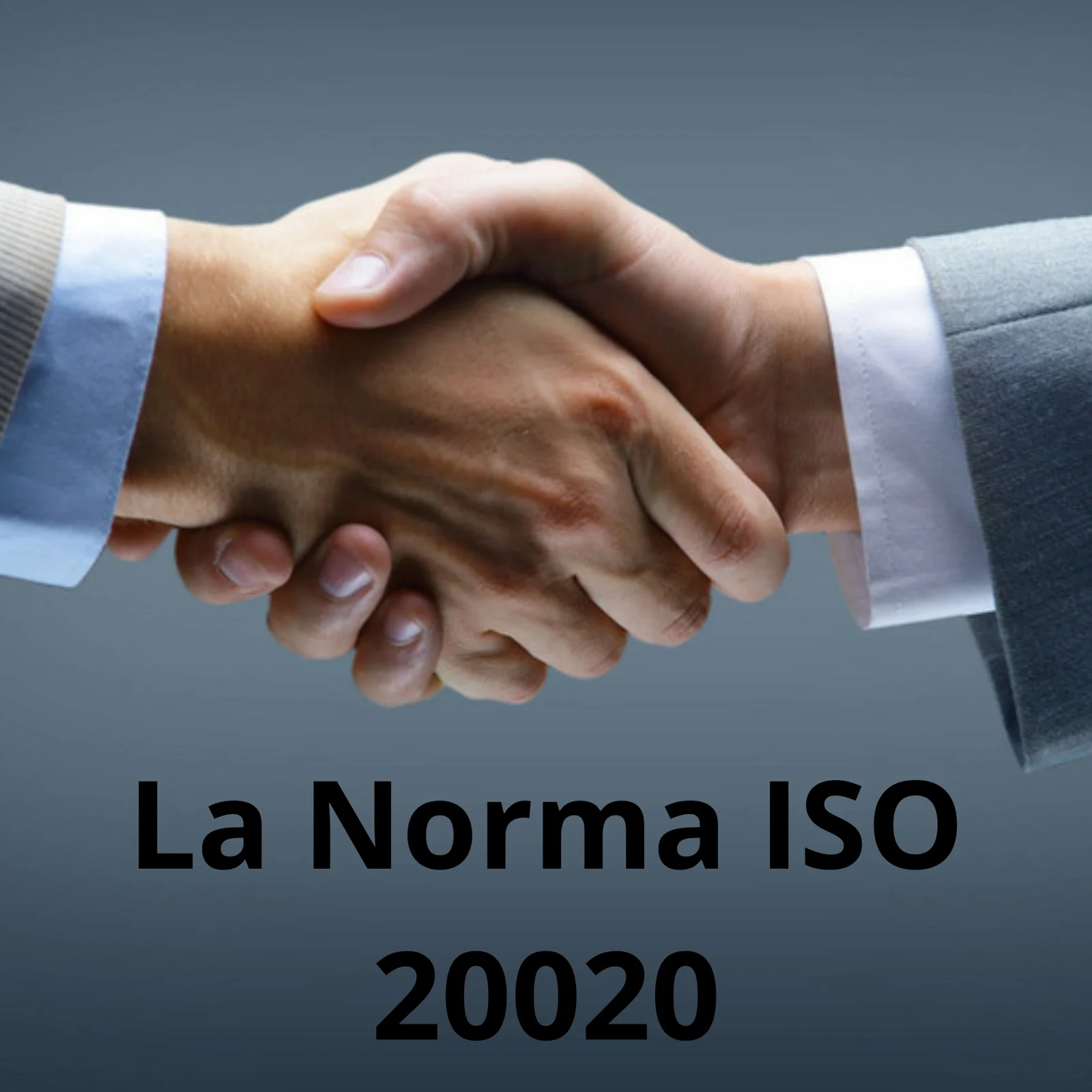 La Norma del Modelo de Datos ISO 20022: